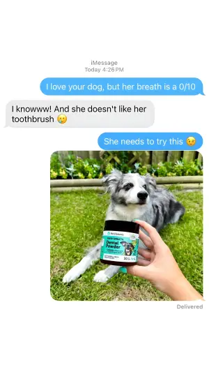 fake iMessage ad where a friend recommends a dog dental powder with a photo attached
